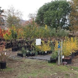 Applegate Nursery