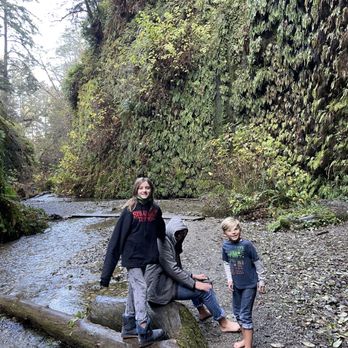 Fern Canyon Trailhead - Parks Near Me
