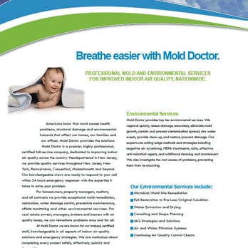 Mold Doctor - Home Inspectors Near Me - Parlin, New Jersey Mold Doctor - Home Inspectors Near Me - Parlin, New Jersey