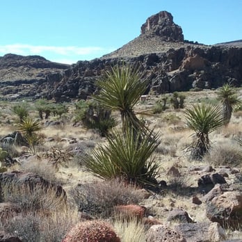 Mojave National Preserve - On the nature trail near Hole-in-the-Wall - Parks Near Me - Kelso, California