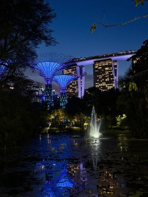 Gardens by the Bay by null