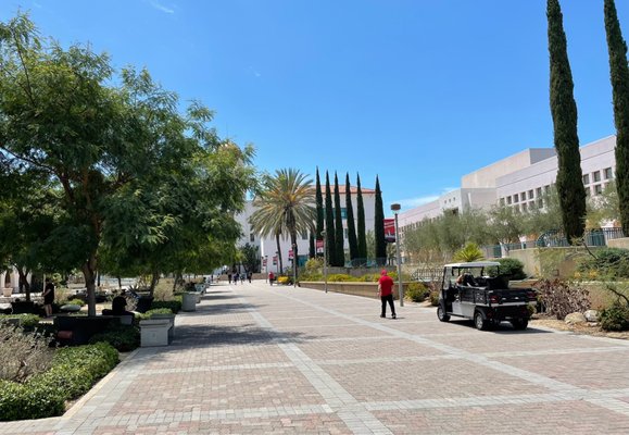 San Diego State University by null