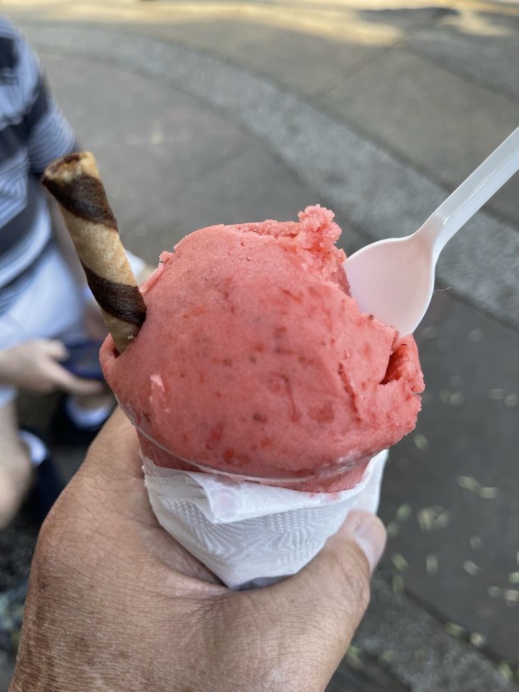 Nieves De Garrafa Chapalita