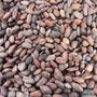 Photo of Blue Spruce Chocolates
