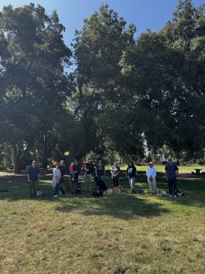 Dog Training - Dog trainer with 10 years of experience that loves working and training your pups. Also do group training Dog Training - Dog trainer with 10 years of experience that loves working and training your pups. Also do group training