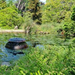 Japanischer Garten