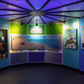 Adventure Aquarium - Aquariums Near Me - Camden, New Jersey Adventure Aquarium - Aquariums Near Me - Camden, New Jersey