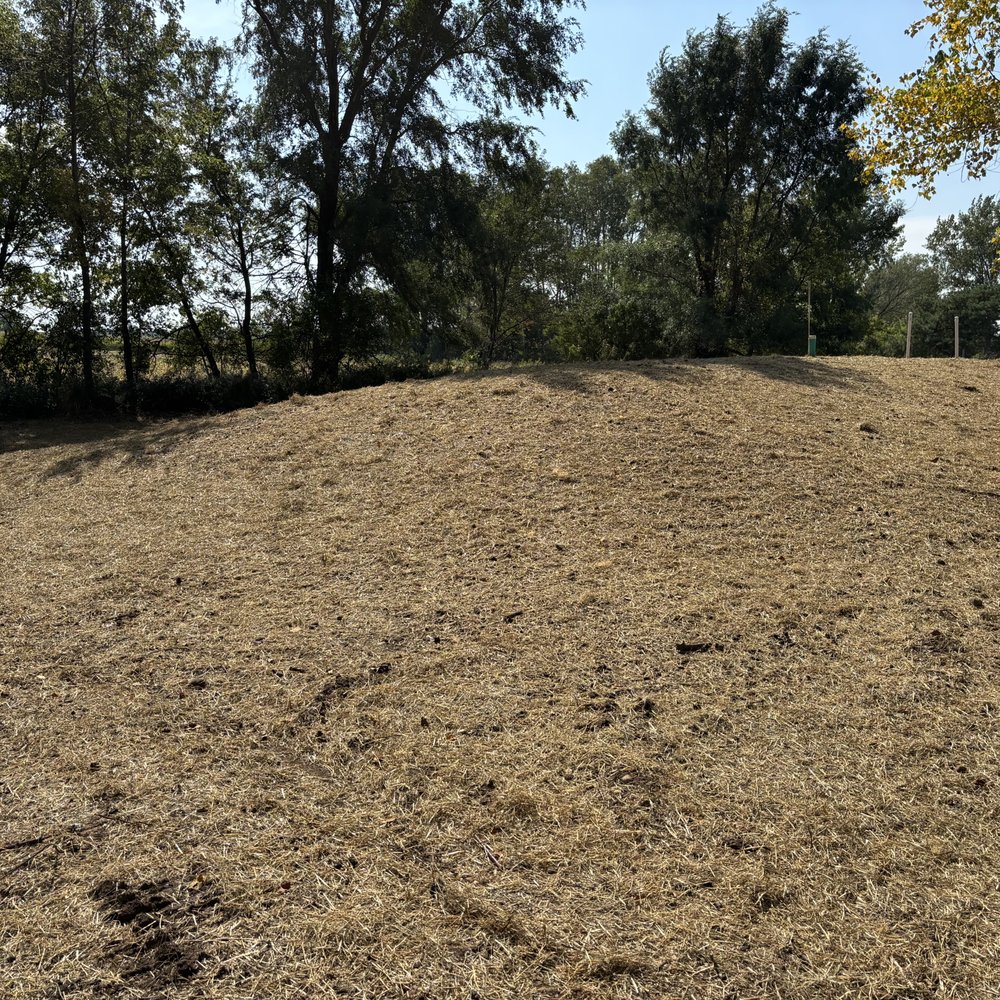 Bruce Bucknell Construction - Septic Services Near Me - Racine, Minnesota