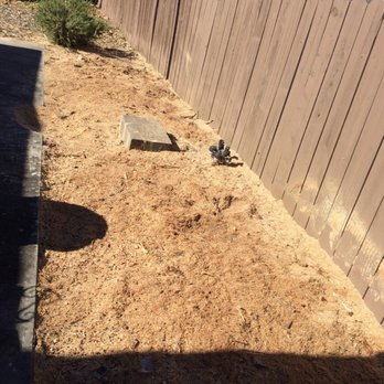 Charles Tree Service - Tree Services Near Me - Lemon Grove, California Charles Tree Service - Tree Services Near Me - Lemon Grove, California