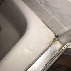 Paradise Properties - Bathtub upon move out