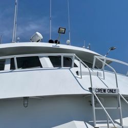 Long Island Whale & Seal Watching