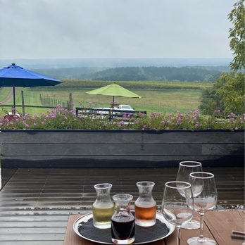 Blenheim Vineyards - Wineries Near Me - Charlottesville, Virginia