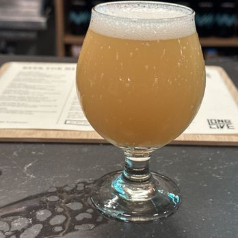 Long Live Roxbury - Night Eagles Collaboration with Deciduous Brewing. - Breweries Near Me - Boston, Massachusetts