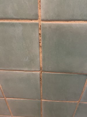 The Spa at Estancia La Jolla by null