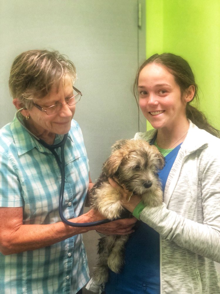 ESSENTIALS PETCARE VETERINARY CLINIC CLOSED Updated August 2024