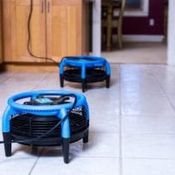 The Best Restoration - Carpet Cleaning Near Me - Gainesville, Florida The Best Restoration - Carpet Cleaning Near Me - Gainesville, Florida