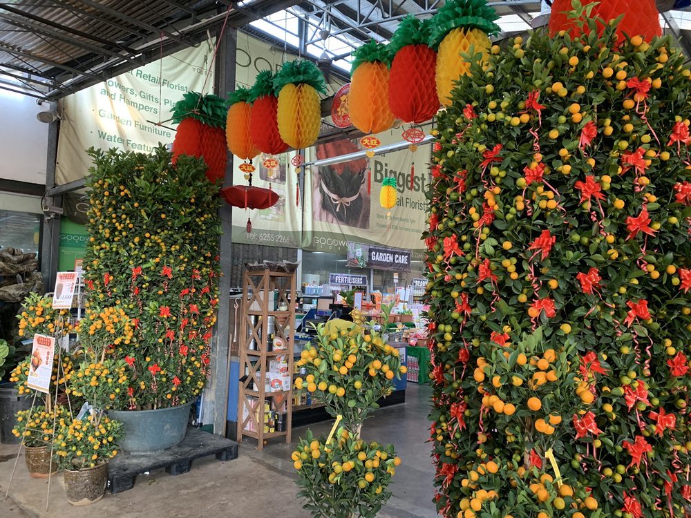 GOODWOOD FLORIST Updated September 2024 565 Thomson Rd, Singapore