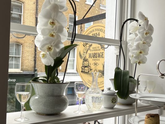 Mariage Freres by null