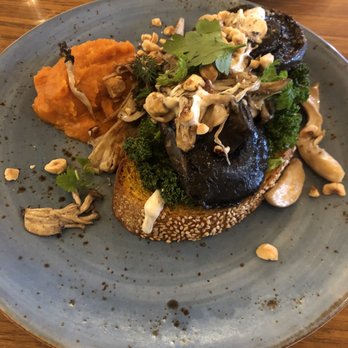 Mister Sunshine's - Vegan mushroom and lamb shoulder - Coffee & Tea Near Me - Thebarton, SA