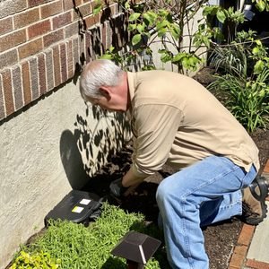 Rodent Control & Removal - Rodents are known to carry at least 35 different diseases that can be transferred by fleas and mites, which could be harmful to your family and pets.
If there is an infestation of rodents in your home, call the Pest Pros professionals for removal services! Rodent Control & Removal - Rodents are known to carry at least 35 different diseases that can be transferred by fleas and mites, which could be harmful to your family and pets.
If there is an infestation of rodents in your home, call the Pest Pros professionals for removal services!