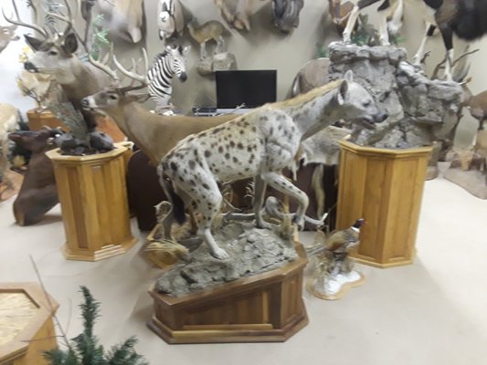 DRAKE’S ANIMAL ART STUDIO - Updated December 2025 - 697 London ...