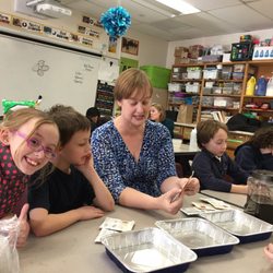 Foxborough Regional Charter School - Botany with Pack 314