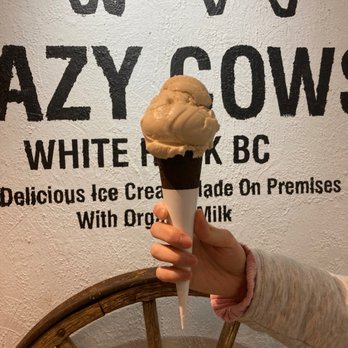 Crazy Cows ice Cream - a hand holding an ice cream cone - Coffee & Tea Near Me - White Rock, British Columbia