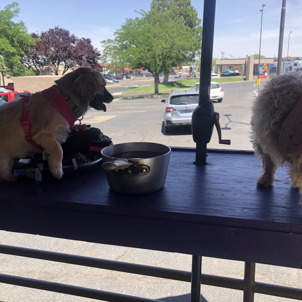 Nemo's Fish & Chips - Water for dogs - Fish & Chips Near Me - Page, Arizona