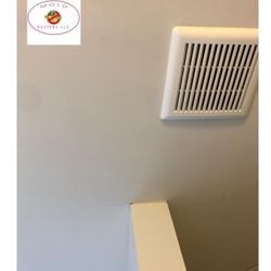 Mold Busters