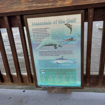 Gulf State Park Pier - Fish - Parks Near Me - Gulf Shores, Alabama Gulf State Park Pier - Fish - Parks Near Me - Gulf Shores, Alabama