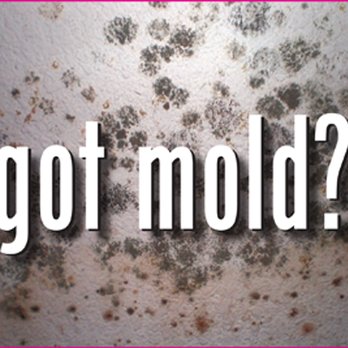 DryAgain Water, Mold and Fire Restoration Services - DONT LET MOLD RUIN YOUR FAMILIES HEALTH - Damage Restoration Near Me - Big Bear, California DryAgain Water, Mold and Fire Restoration Services - DONT LET MOLD RUIN YOUR FAMILIES HEALTH - Damage Restoration Near Me - Big Bear, California