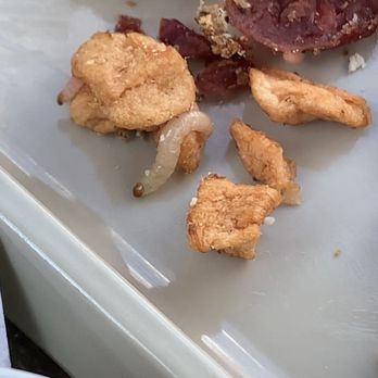 Lehmans Farmhouse - Maggots - Breweries Near Me - Buchanan, Michigan