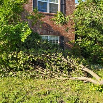 Vincent Landscaping - Picked some tree limb from last storm - Landscaping Near Me - Richmond, Virginia Vincent Landscaping - Picked some tree limb from last storm - Landscaping Near Me - Richmond, Virginia