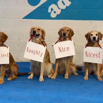 All Dog Adventures - Pet Training Near Me - Richmond, Virginia All Dog Adventures - Pet Training Near Me - Richmond, Virginia