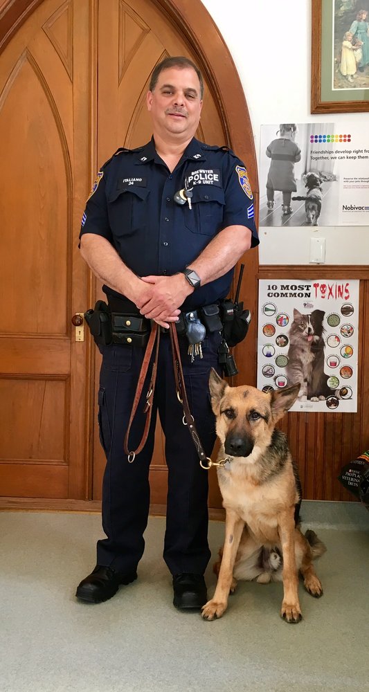 GOLDENS BRIDGE VETERINARY CARE CENTER 37 Photos & 13 Reviews 15