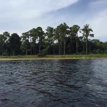Walsingham Park - Love the view - Dog Parks Near Me - Seminole, Florida