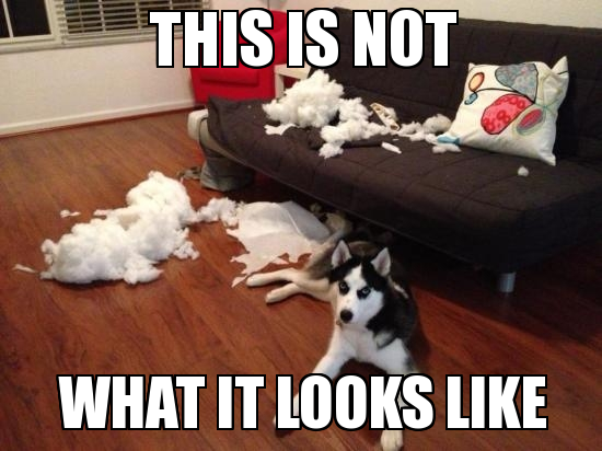 Slide of U Need Gutters & More