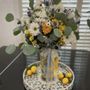 Photo of San Diego Blooms