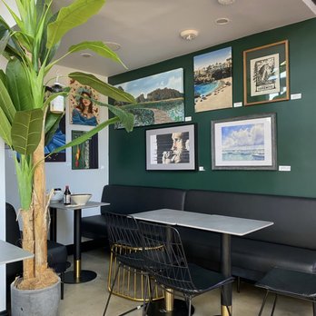 Ficus - Indoor Seating - Bubble Tea Near Me - Princeton, New Jersey