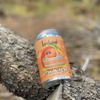 Landlocked Ales gift card