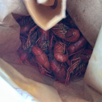 Lil Kats Seafood - About 5lbs worth of - Seafood Markets Near Me - Metairie, Louisiana Lil Kats Seafood - About 5lbs worth of - Seafood Markets Near Me - Metairie, Louisiana