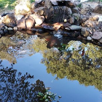 A.G. Aquariums And Ponds - With a new pump, plumbing and a raised wall, this pond is deeper and running cleaner. - Aquarium Services Near Me A.G. Aquariums And Ponds - With a new pump, plumbing and a raised wall, this pond is deeper and running cleaner. - Aquarium Services Near Me
