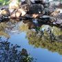 Photo of A.G. Aquariums And Ponds