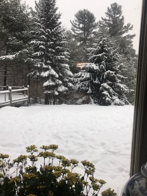 Porcupine Bed & Breakfast by null