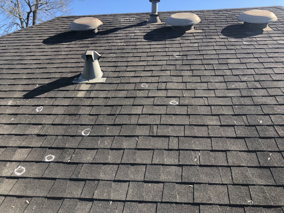 Slide of The Roof Man