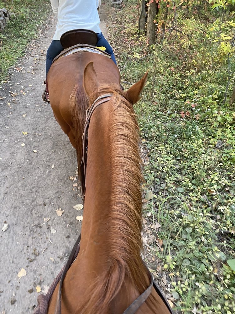 SUNDANCE RIDING STABLES 9250 Nixon Rd, Grand Ledge, Michigan