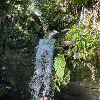 El Yunque Rainforest - Hiking Near Me - Luquillo, Puerto Rico