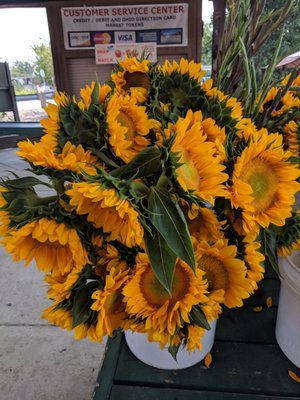 Toledo Farmers' Market by null