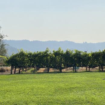 Napa Cellars - View from the backyard. - Wineries Near Me - Oakville, California Napa Cellars - View from the backyard. - Wineries Near Me - Oakville, California