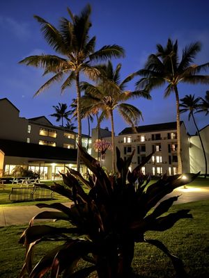 Sheraton Kauai Coconut Beach Resort by null